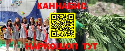 spice Кинель