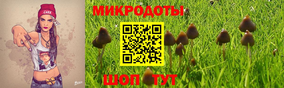 Псилоцибиновые грибы Cubensis  Вход с VPN  Кольчугино 